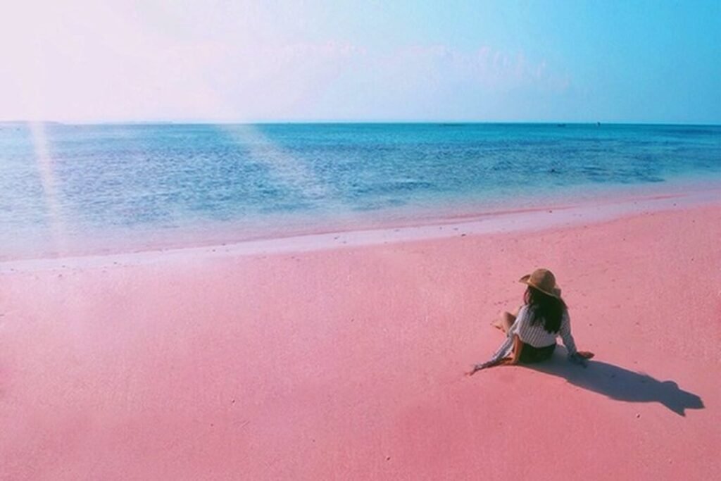 Pantai Pink Lombok