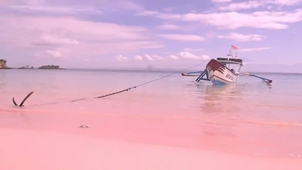 Pantai Pink Lombok