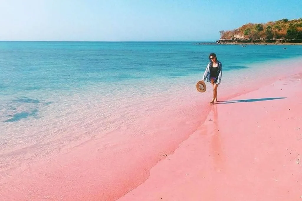 Pantai Pink Lombok