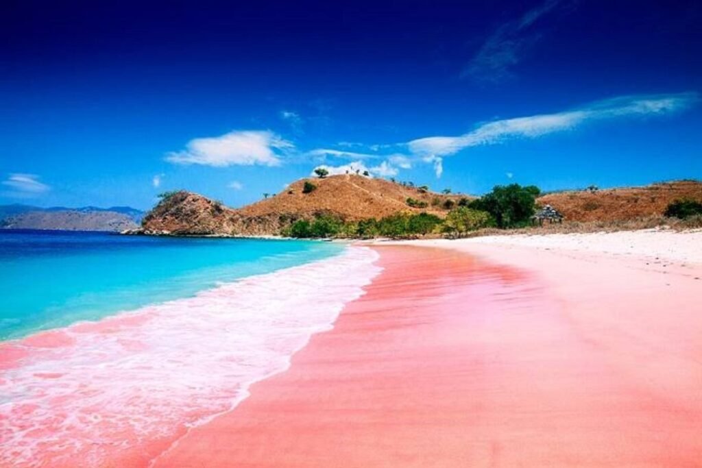 Pantai Pink Lombok