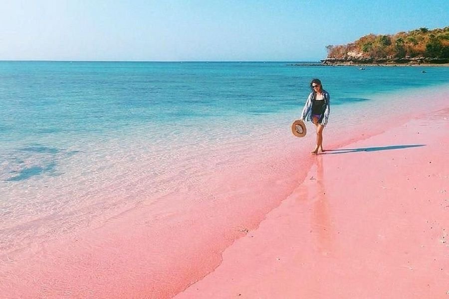 Pantai Pink Lombok