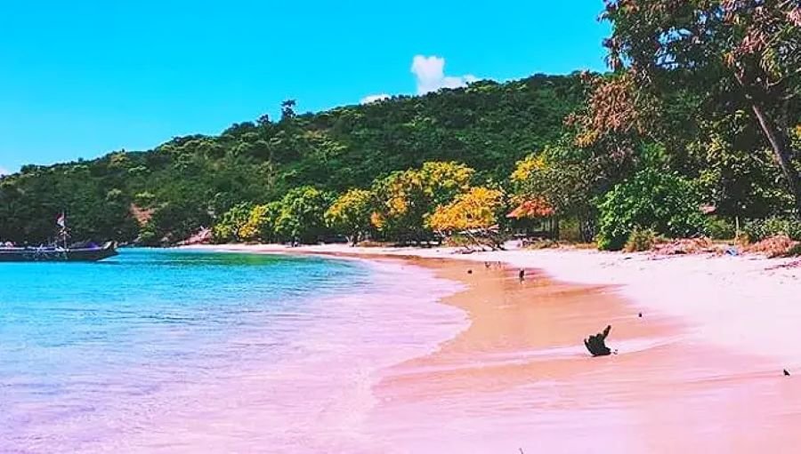 Pantai Pink Lombok