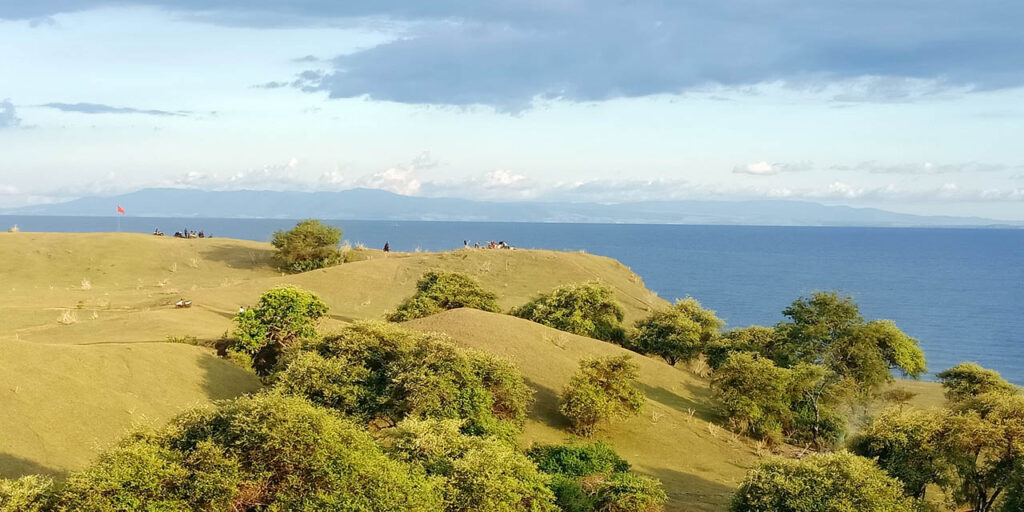 savana doro ncanga