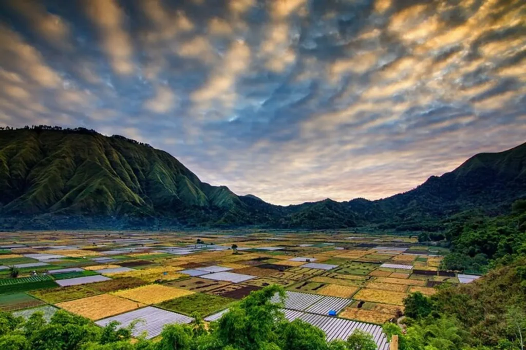 Sembalun Lombok