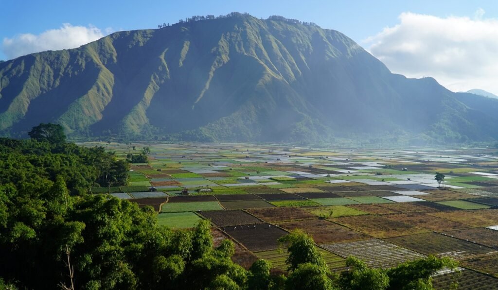 Sembalun Lombok