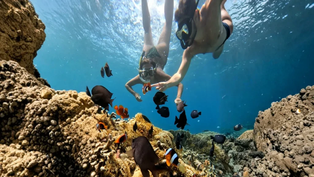 Wisata Gili Lombok