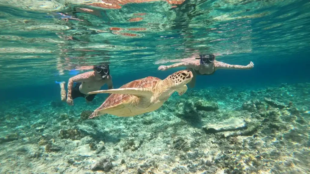 Wisata Gili Lombok