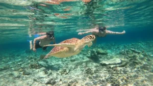 Wisata Gili Lombok