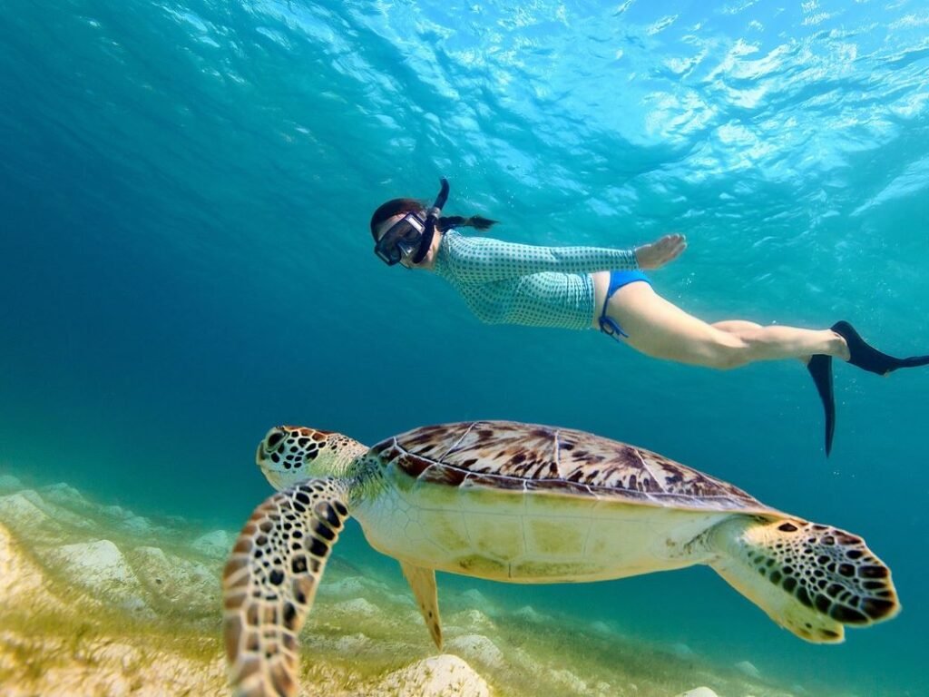 Wisata Gili Lombok